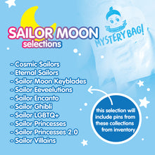 Load image into Gallery viewer, 8 Pins Mystery Bag - Free Included Fabric Mask